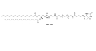 89889-51-0 Biotin-C5-amino-C5-amino  LC-LC-(+)-生物素 