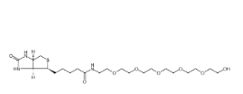 906099-89-6         （+）-Biotin-PEG6-OH