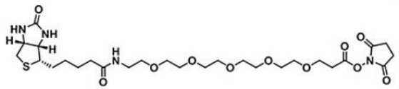 生物素五聚乙二醇活性酯；Biotin-PEG5-NHS ester