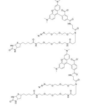 CAS：1797415-74-7；TAMRA-Azide-PEG-biotin