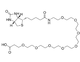 2143964-62-7         (+)-Biotin-PEG8-CH2CH2COOH      BIOTIN-八聚乙二醇-丙酸