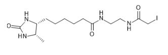 脱硫生物素-碘乙酰胺；脱硫生物素-碘乙酰胺