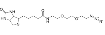 1910803-72-3；Biotin-PEG2-azide