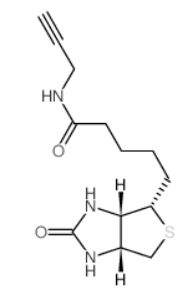 773888-45-2，Biotin alkyne，N-(Prop-2-ynyl)biotinamide
