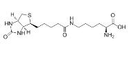 576-19-2   生物胞素  Biocytin  Biocytin(ε-Biotinoyl-L-Lysine)  