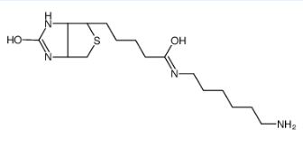 N-生物素基-1,6-己二胺；N-Biotinyl-1,6-hexanediamine
