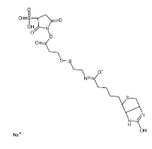 325143-98-4        Sulfo-NHS-SS-biotin，Sulfo-NHS-SS-Biotin sodium