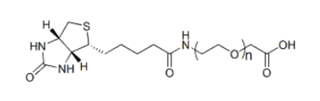 Biotin-PEG-COOH ；生物素聚乙二醇羧基