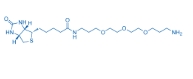 183896-00-6   Biotin-C1-PEG3-C3-amine  基于PEG的PROTAC接头