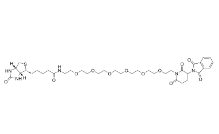 2144775-48-2           D-Biotin-PEG6-Thalidomide，Biotin-PEG6-Thalidomide