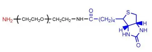 氨基PEG生物素；氨基-PEG-Biotin；NH2-PEG-Biotin