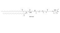 DSPE-PEG-Biotin,CAS:385437-57-0，磷脂酰乙醇胺-聚乙二醇2000-生物素