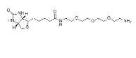 359860-27-8 生物素-PEG3-胺    Biotin-PEG3-Amine