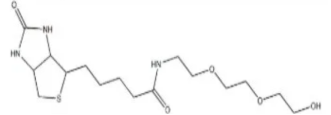 生物素三聚乙二醇羟基  