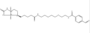 生物素-二聚乙二醇-苯甲醛；Biotin-PEG2-aldehyde