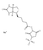 119616-38-5  生物素 3-磺酸基-N-羟基琥珀酰亚胺钠盐  biotin sulfo-osu