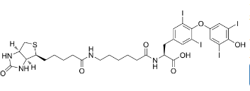 CAS：2278192-78-0；Biotin-hexanamide-(L-Thyroxine)