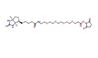 459426-22-3  Biotin-PEG4-NHS ester   生物素-PEG4-活性酯