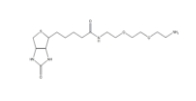 Biotin-PEG-NH2，Biotin-PEG-amine，Α-生物素-Ω-氨基聚乙二醇