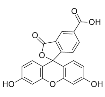 5-羧基荧光素；76823-03-5；5-carboxyfluorescein