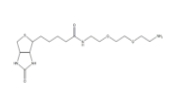 生物素聚乙二醇氨基，Biotin-PEG-NH2