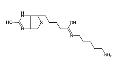 115416-38-1，Biotin-Amine，生物素氨基