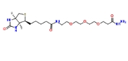 1381861-94-4   Biotin-PEG3-hydrN3  生物素-PEG3-氢化叠氮基团