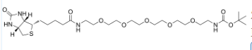 CAS：189209-28-7；Biotin-PEG5-NH-Boc