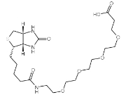 CAS:721431-18-1  Biotin-PEG4-Acid   15-[D-(+)-生物素氨基]-4,7,10,13-四氧杂十五烷酸