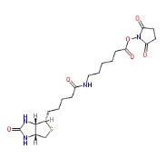 CAS:72040-63-2,NHS-LC-Biotin，生物素化-epsilon-氨基己酸-N-羟基丁二酰亚胺活化酯