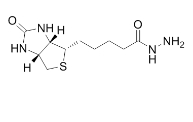Biotin-BMCC   1-生物素酰氨基-4-[4`-(甲基马来酰胺)环已烷甲酰胺]丁烷  巯基反应的生物素交联剂