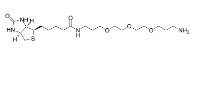 1374658-86-2,Biotin-PEG3-（CH2）3-NH2