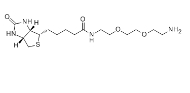 138529-46-1  生物素-PEG2-胺  N-Biotinyl-3,6-Dioxaoctane-1,8-Diamine