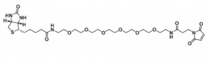   Biotin-PEG6-MAL  