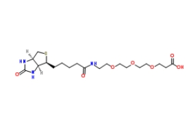 252881-76-8           Biotin-PEG3-COOH     (+)-生物素-PEG 3 -丙酸