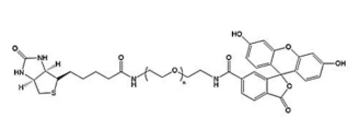 荧光素聚乙二醇生物素  