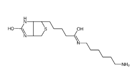  65953-56-2          Biotin-C6-amine          N-生物素基-1,6-己二胺