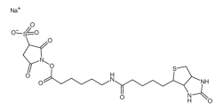 生物素酰氨基己酸-3-磺酸基-N-羟基琥珀酰亚胺酯	  