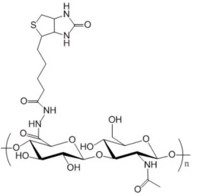 生物素修饰透明质酸  