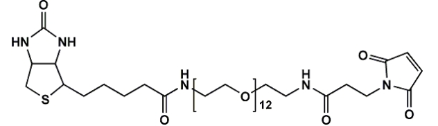 （+）-Biotin-PEG12-NH-Mal  生物素-十二聚乙二醇-氨基-马来酰亚胺