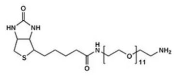 Biotin-PEG-NH2  