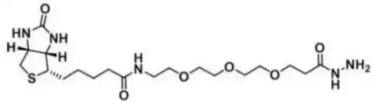 Biotin-PEG3-Hydrazide 