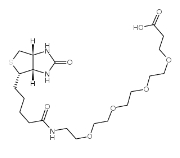（+）-Biotin-PEG4-CH2CH2COOH   721431-18-1   15-[D-(+)-生物素氨基]-4,7,10,13-四氧杂十五烷酸