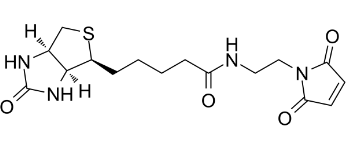 N-生物素-N'-马来酰亚胺基-乙二胺；N-BIOTINYL-N'-MALEIMIDO-ETHYLENEDIAMINE