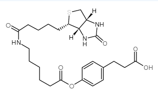 3-(4-(N-生物素-6-氨基己羧基)苯基)丙酸；3-(4-(N-Biotinoyl-6-aminocaproyloxy)phenyl)propionic acid