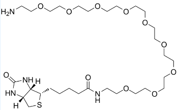 O-(2-Aminoethyl)-O'-[2-(biotinylamino)ethyl]octaethylene glycol