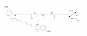 CY7-PEG-Biotin 