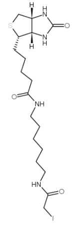 93285-75-7   Iodoacetyl-LC-Biotin  N-生物素-N'-(碘乙酰基)-1,6-己二胺  生物素化的亲电子探针