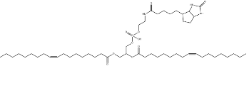1,2-Dioleoyl-sn-glycero-3-phosphatidylethanolamino (+)-biotin