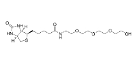 CAS:1217609-84-1   Biotin-PEG4-alcohol   Biotin-PEG4-OH